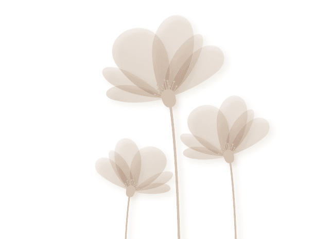 Soft beige flowers with transparent background – elegant PNG elements for digital invitations and crafts