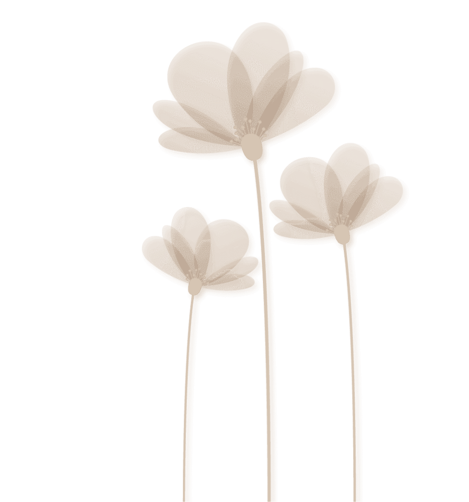 Minimal beige floral illustration on transparent background – symbol for digital invitation design store