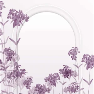 lavender arch frame animation with soft purple flowers