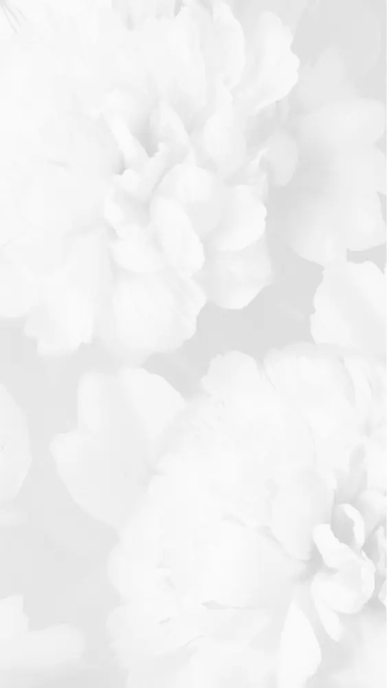 Soft white flower background with dreamy blurred petals and minimal aesthetic